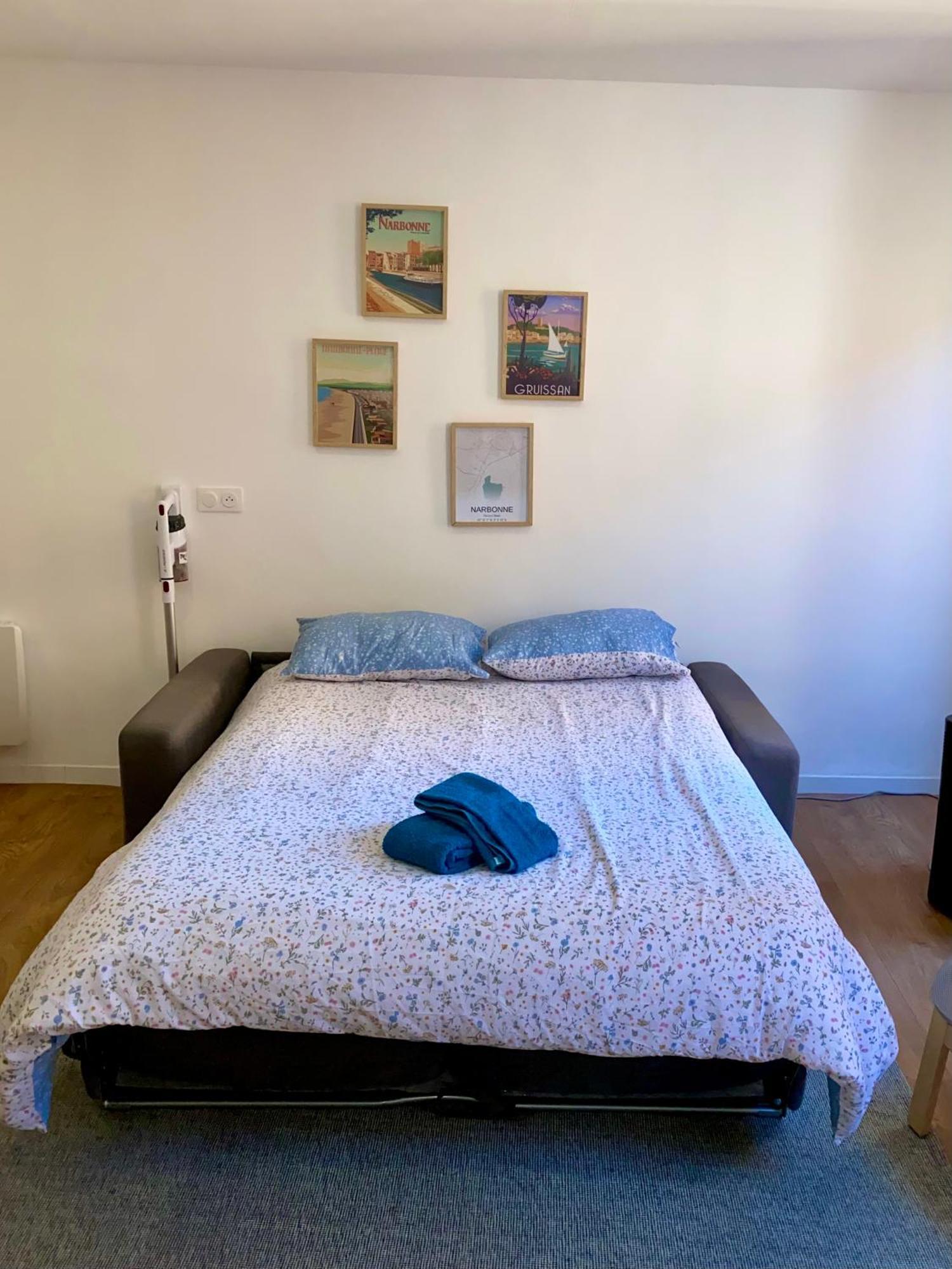 דירות נרבון Chez Isa Et Thomas מראה חיצוני תמונה